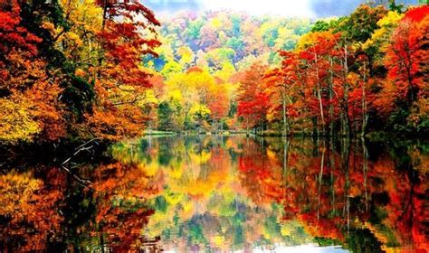 Each leaf plays a note in the symphony of autumn. ~Pepper Blair Beavers ...