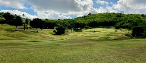 Golf on St. Croix, The Reef Golf Course | GoToStCroix.com