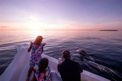 Sunset Dolphin Cruise - Soneva