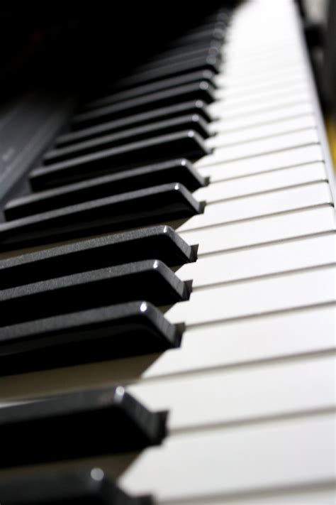 Electric Piano Keyboard Free Stock Photo - Public Domain Pictures