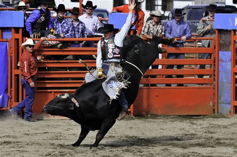 Amazing Rodeo World Records