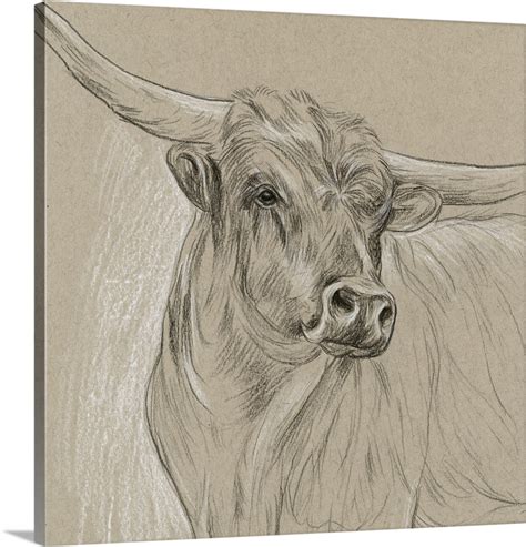 Longhorn Sketch I Wall Art, Canvas Prints, Framed Prints, Wall Peels ...