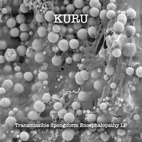 "Transmissible Spongiform Encephalopathy" LP - Kuru (CD SOLD OUT ...