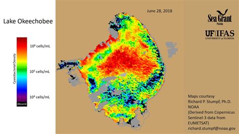 2018 Algae Bloom in Lake Okeechobee - 7/12/18 - YouTube