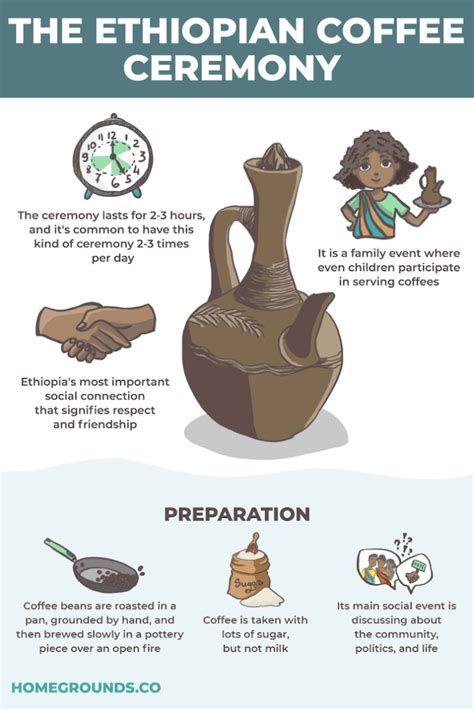 Ethiopian Coffee Guide: Buying and Brewing Tips