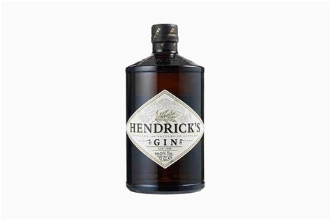 15 Best Gin Brands In The World: Gins You Have To Try (Guide)