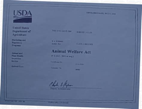 State and Federal Licensed Dog Brreder