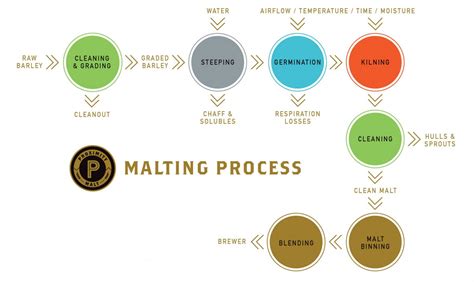 Malting - Proximity Malt