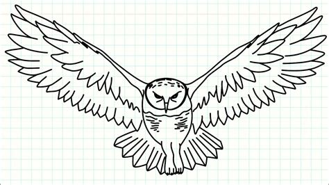 How To Draw A Flying Owl