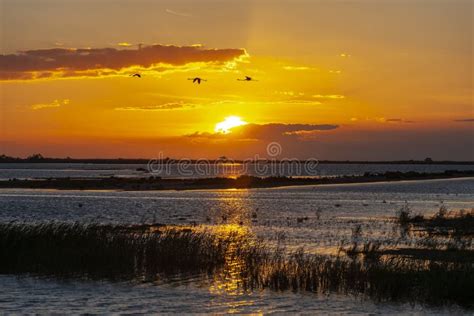 National Park Camargue, Provence, France Stock Photo - Image of nature, lake: 154432390