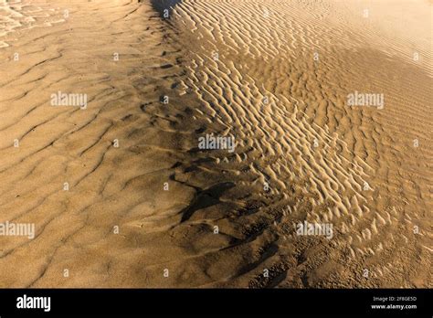 sand dunes in saudi arabia Stock Photo - Alamy