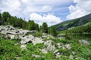 File:Chemalsky District, Altai Republic, Russia - panoramio (27).jpg - Wikimedia Commons