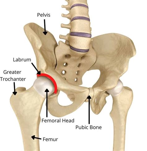 Why Does My Hip Hurt? Understanding Different Types of Hip Pain Symptoms | PT Time with Tim