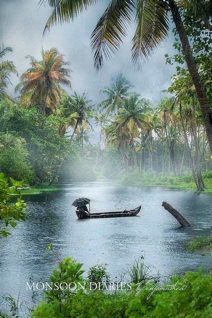 The Great Indian Monsoon | A boat floating on top of a river surrounded by lush green trees and ...