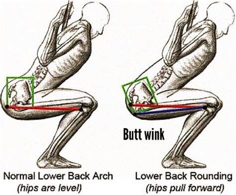 Getting the Max Out of Your Gluteus Maximus - ALTA Physical Therapy and ...