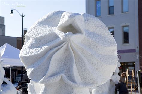 Timothy Prust Photography: snow sculptures | photographer racine, wi