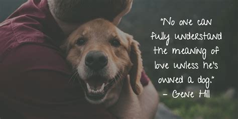 25 Dog Quotes About Love and Loyalty - Terribly Terrier