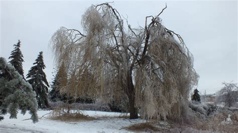 Ice Storm Toronto 2013