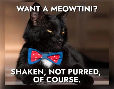 50 Cat Puns That Will Leave You Purring for More - Chameleon Memes - Medium