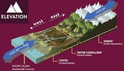 What is the Climate of Chile? | Pedal Chile