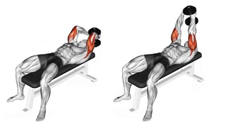 Ultimate Guide To Dumbbell Overhead Tricep Extensions