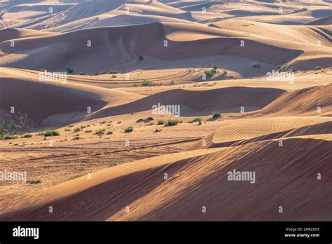 Sand dunes of the Arabian desert. Abu Dhabi, United Arab Emirates Stock Photo - Alamy