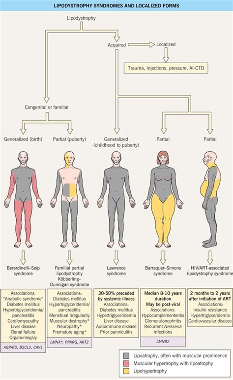 Lipodystrophies | Clinical Gate