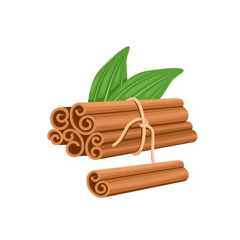 Vector illustration, bunch of cinnamon sticks rolled, with green leaves, isolated on white ...