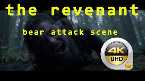 the revenant 2015 bear attack scene in 4k HDR - YouTube