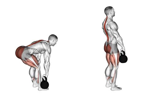 4 Kettlebell Deadlift Benefits & Forms (With Pictures) - Inspire US