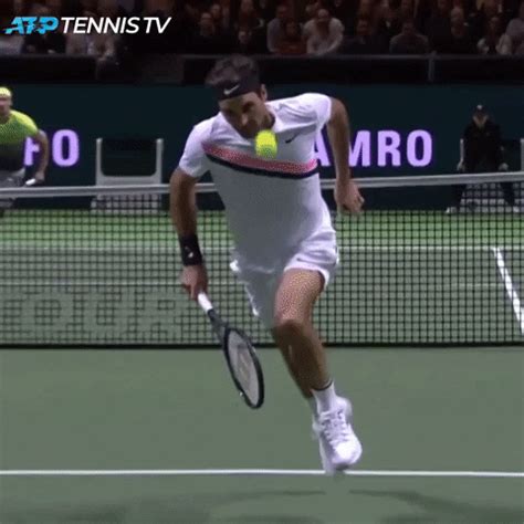 Roger Federer Rotterdam GIF by Tennis TV - Find & Share on GIPHY