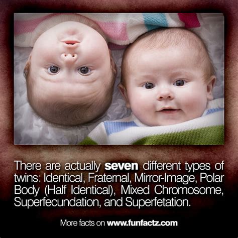 There are actually seven different types of twins: Identical, Fraternal, Mirror-Image, Polar ...