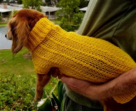 Dachshund Knitting Patterns – Free Patterns