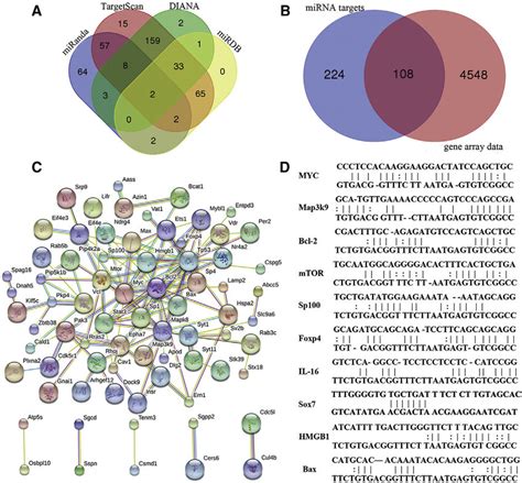 Target Gene Identification Candidate target genes and functional... | Download Scientific Diagram