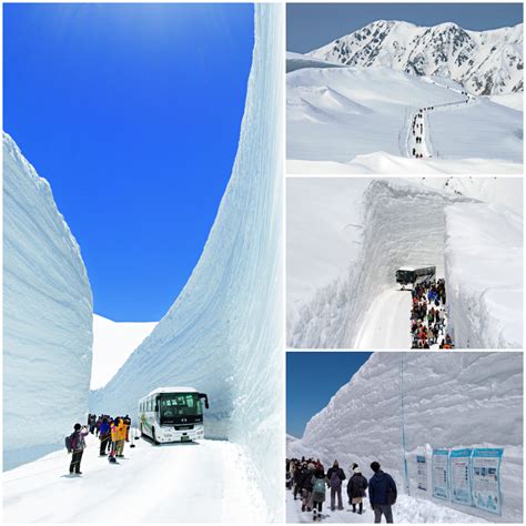 【富山県】2022立山黒部 雪の大谷フェスティバル