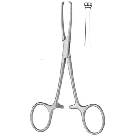 Allis Tissue Forceps - Adas Instruments - Best Quality Surgical Tool ...