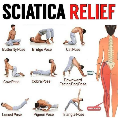 Sciatica Exercises For Seniors Printable | Francesco Printable