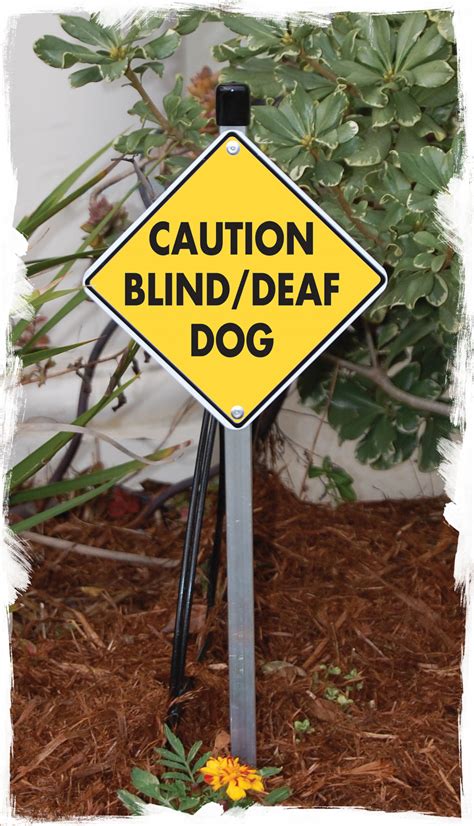 SignsWithAnAtttiude: Dog Signs to Protect Deaf & Blind Dogs