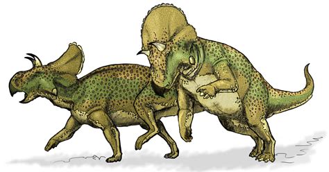 File:Avaceratops dinosaur.png - Wikimedia Commons