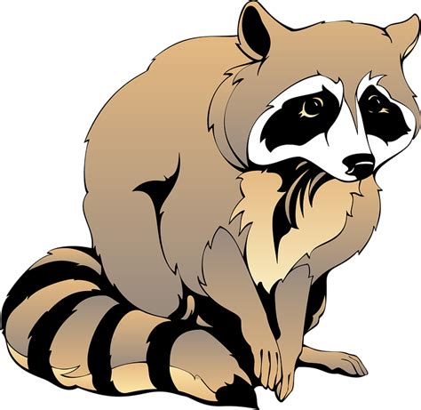 Raccoon Dog clipart, Download Raccoon Dog clipart for free 2019