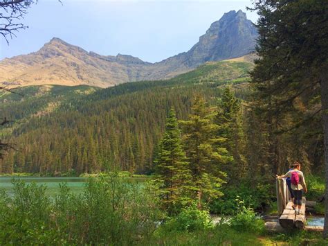 Rambling Hemlock: Backpacking in Glacier National Park... for science!