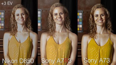 Shootout: Sony a7R III vs Sony a7 III vs Nikon D850 | PetaPixel