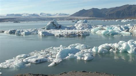 Geography KS3 / GCSE: Ecosystems and Biomes - BBC Teach