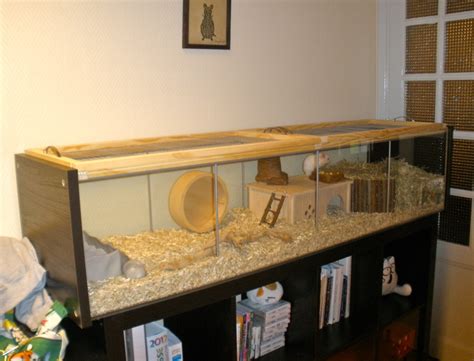 Finished hamster habitat project | I'll be adding some more … | Flickr