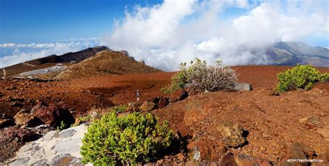 Haleakala Sunrise Tour - Best Haleakala Sunrise Adventures