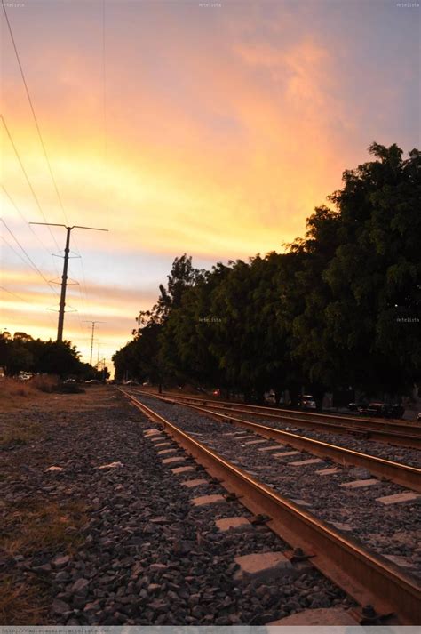 Train Tracks Sunset view nadia cassian - Artelista.com