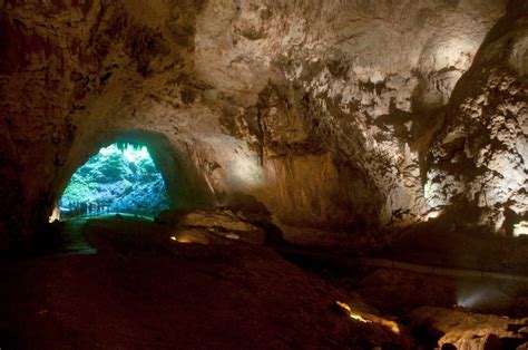 Río Camuy Caves Park - Bienvenidos