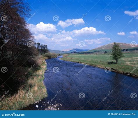 River Clyde stock photo. Image of white, water, green - 6045414