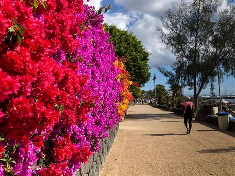 12 Things to Do in Playa Blanca, Lanzarote's Newest Resort Town