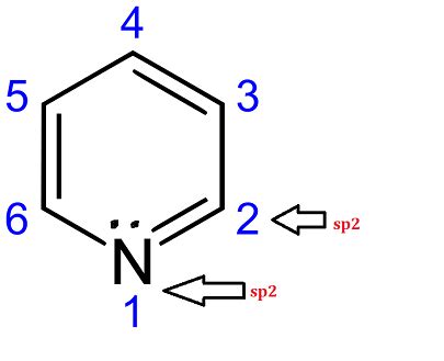 Pyridine is a benzene ring with one of the carbon atoms substituted ...